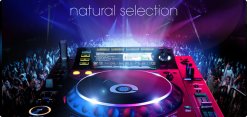 La platine DJ Pioneer CDJ 2000, un lecteur CD multi-formats platine dj