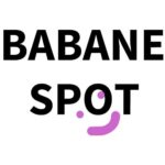 Babane Spot, Formation MAO pour DJ